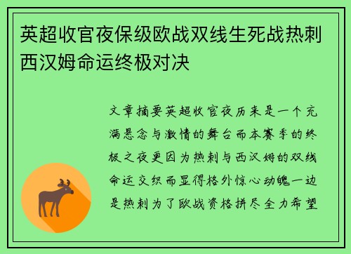 英超收官夜保级欧战双线生死战热刺西汉姆命运终极对决 英超收官夜保级欧战双线生死战热刺西汉姆命运终极对决